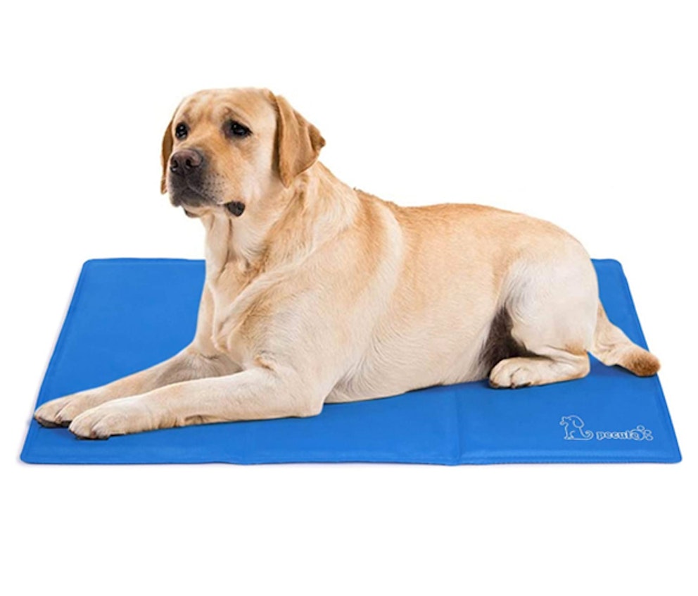 The Best Pet Cooling Mats